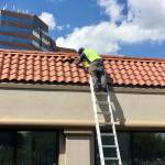 Alltex Roofing and Exteriors Profile Picture