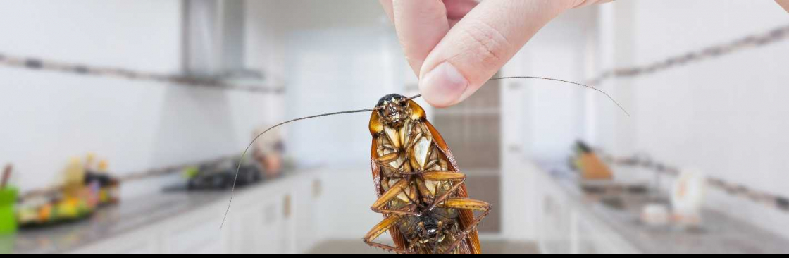 Cockroach Control Melbourne Cover Image