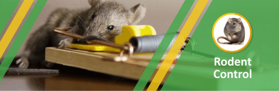 Rodent Control Sydney Cover Image