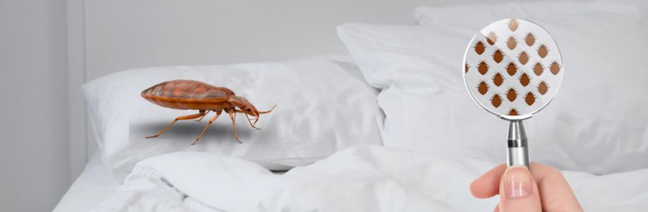 Bed Bug Control Adelaide Cover Image