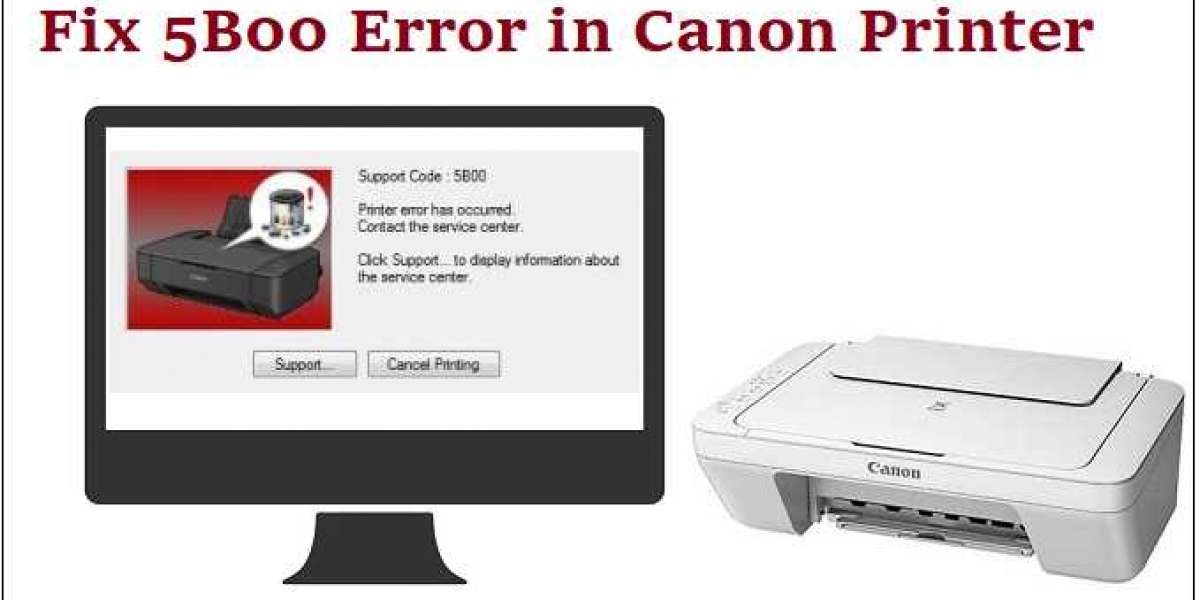 Canon.com/ijsetup - FIX 5B00 ERROR IN CANON PRINTER