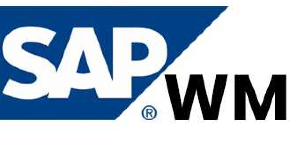 SAP Warehouse management (WM) Module