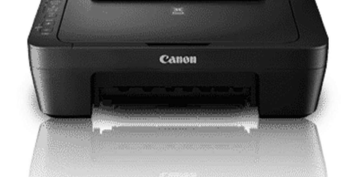 Canon Printer in Error State: Causes and Fixing