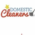 Domestic Cleaning London Profile Picture