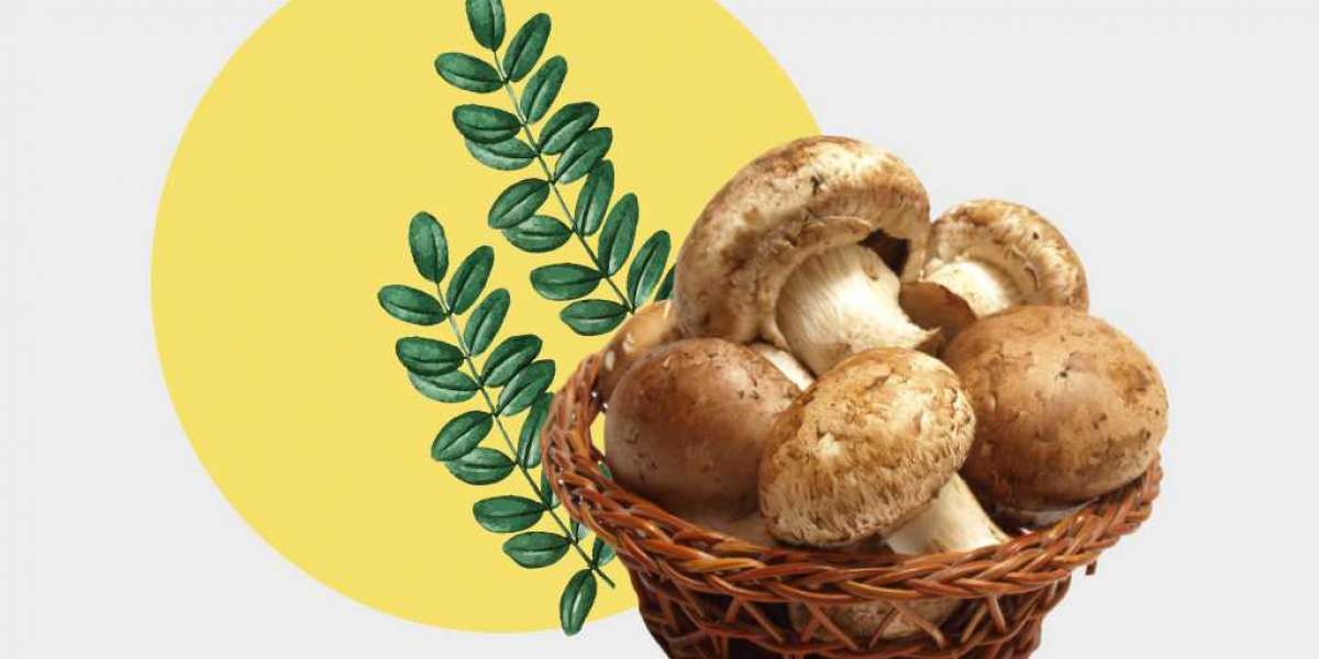 Is Mushroom Good For Diabetes ??