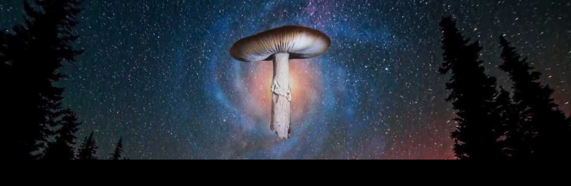 Magic Mushrooms Canada Cover Image