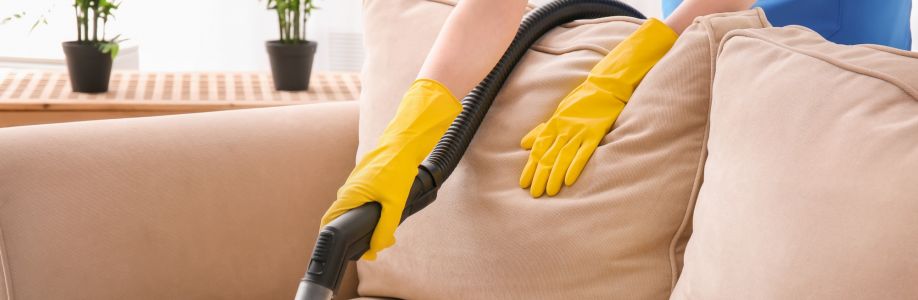 SES Upholstery Cleaning Brisbane Cover Image