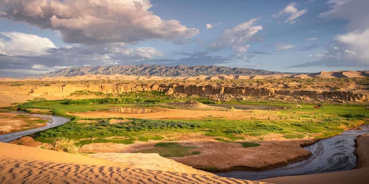 The Best travel to Mongolia from us