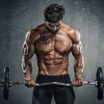 Best Testosterone Booster Pills Profile Picture
