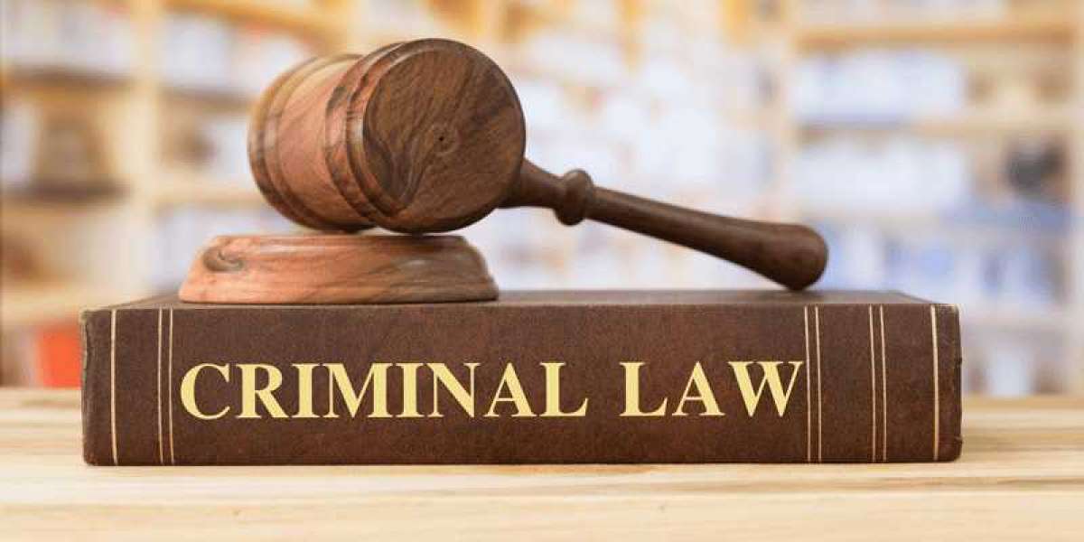 Get Educated on Criminal Law and More!