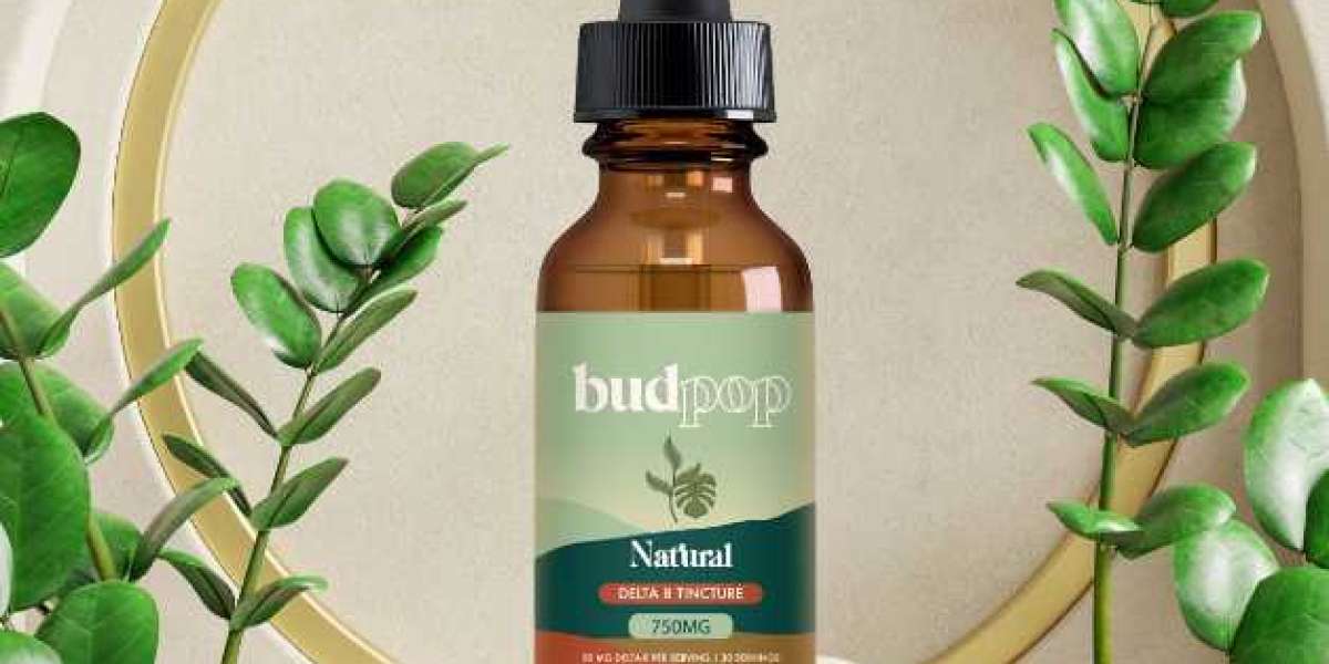 Have You Seriously Considered The Option Of Cbd Tinctures?