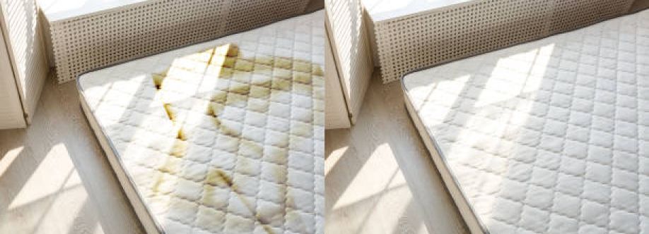 1st Mattress Cleaning Melbourne Cover Image