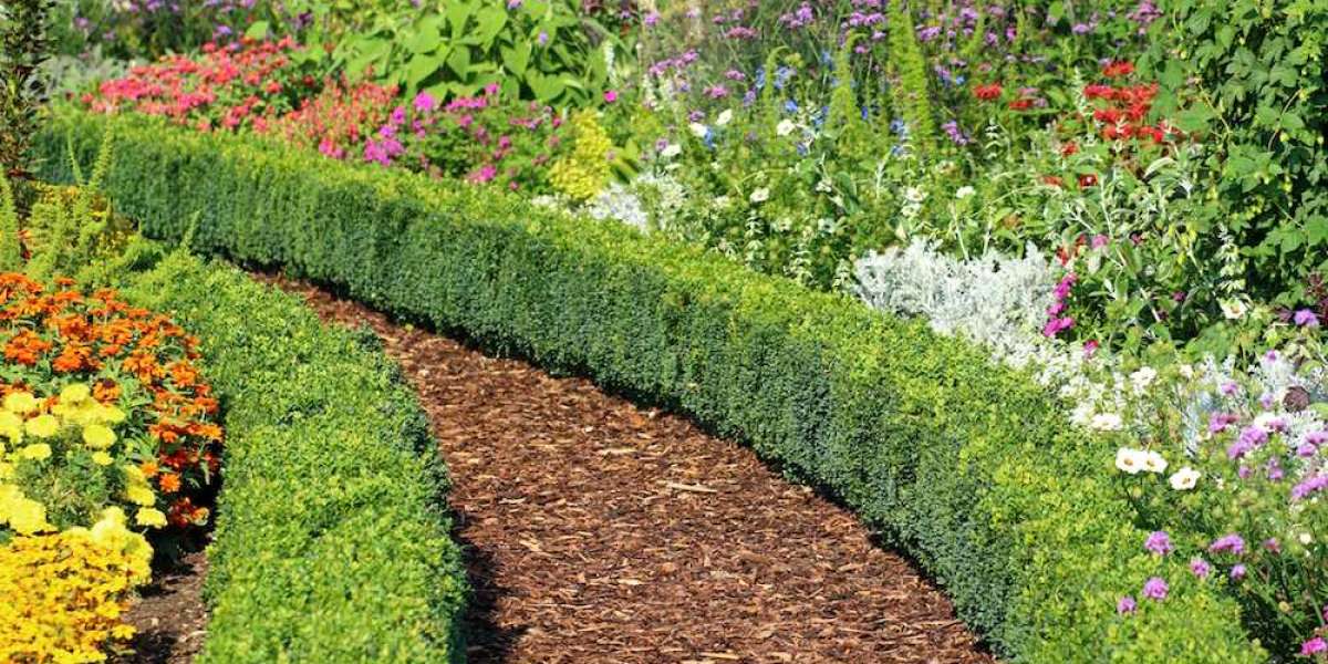 Reasons Why You Need Garden Edging
