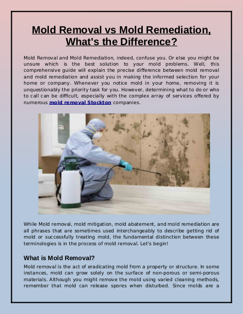 Mold Removal vs Mold Remediation, What's the Difference