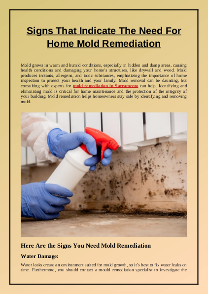Signs That Indicate The Need For Home Mold Remediation