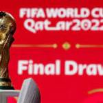 Fifa World Cup Live 2022 profile picture