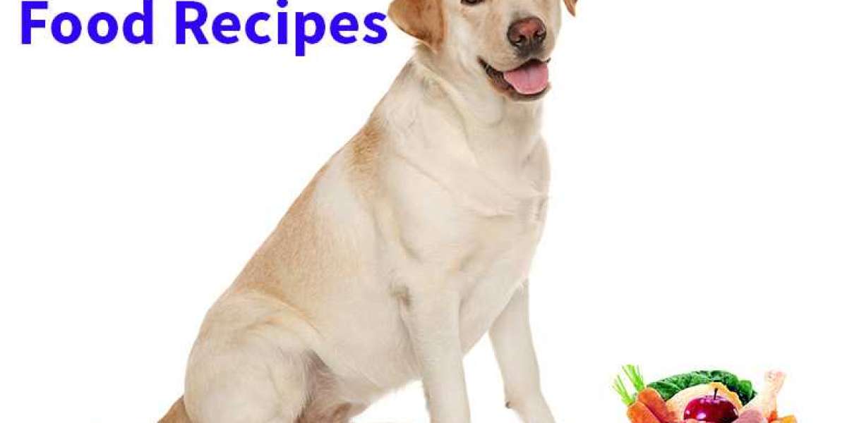Creating a Balanced Diet for Your Labrador Retriever: Homemade Food Edition