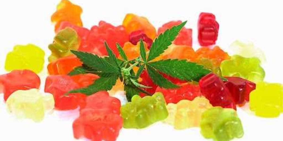 {Be #1 Scam} Sera Labs CBD Gummies(2023) Don't Buy Before Read Real Price on Website!