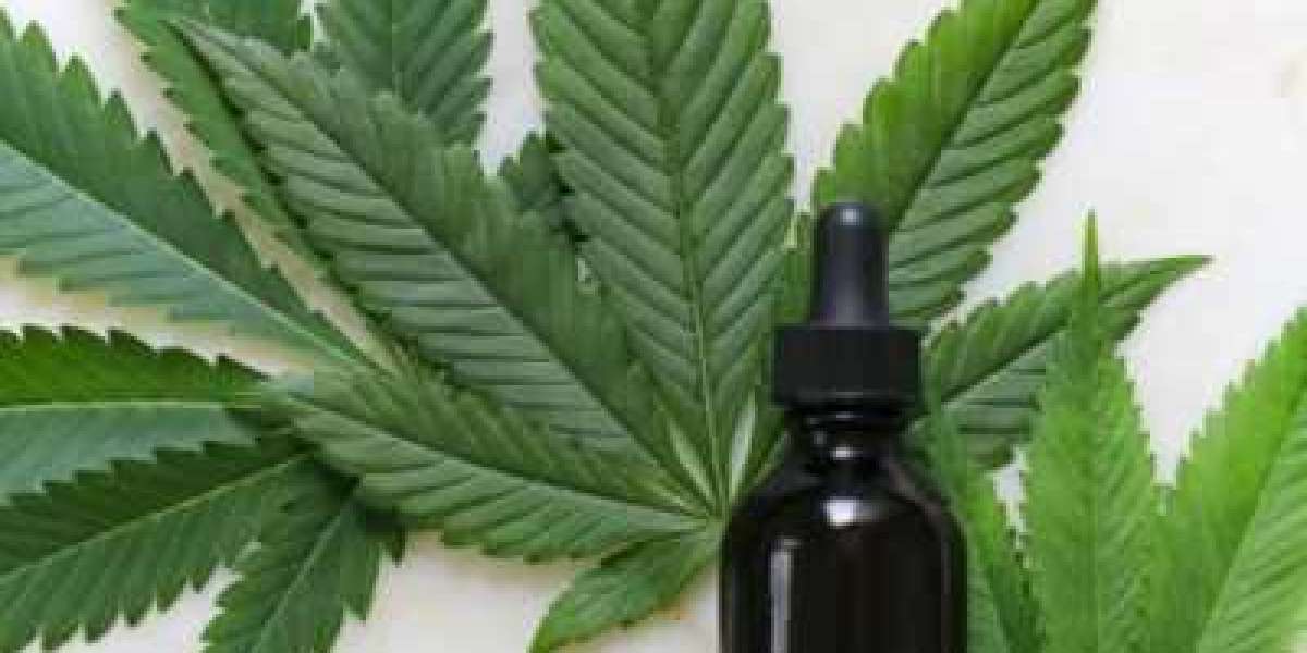 Best CBD Creams for Back Pain: Organic and All-Natural Options