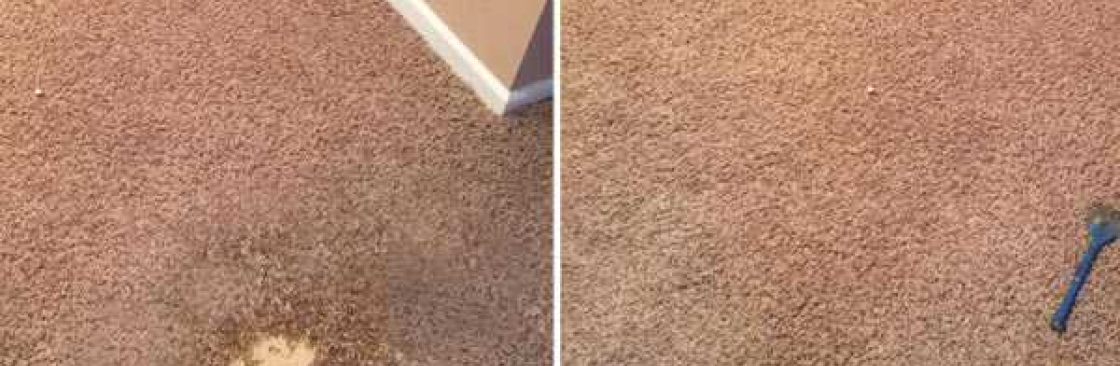 Carpet Repair Inner West Cover Image