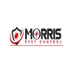 Morris Bee Removal Sydney Profile Picture