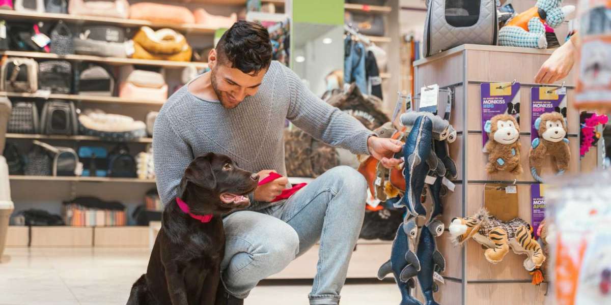 The Best Dog Supplies Outlets for Budget-Conscious Owners