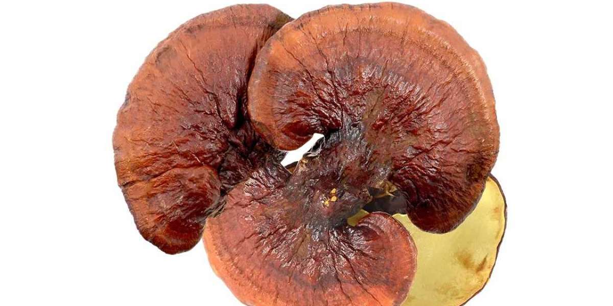 How Mushroom Supplements Can Improve Your Athletic Performance?