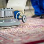 Rug Cleaning Inner West Profile Picture