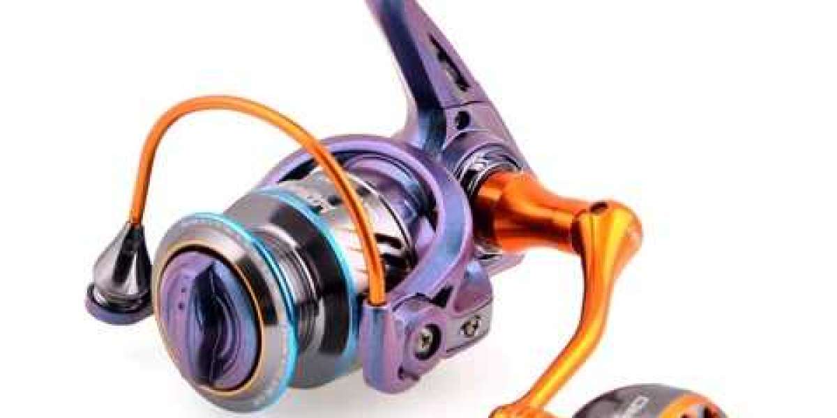 Find the Perfect Fishing Reel for Your Needs at Reel Outfitters Co