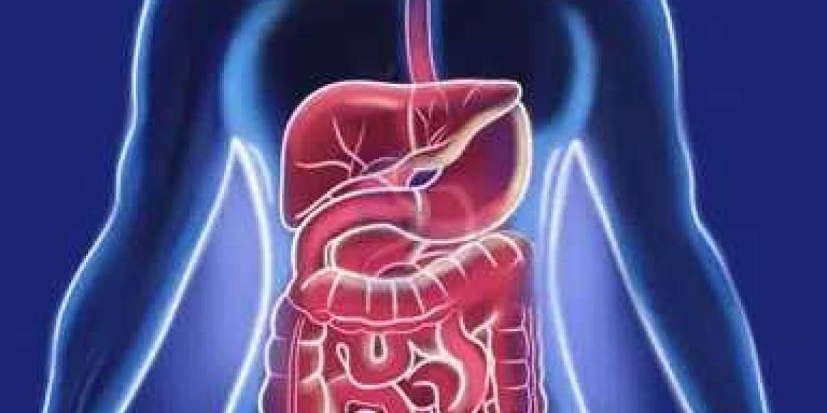 "Common Digestive System Disorders and How Gastroenterology Services Can Help"