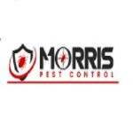 Morris Bee Removal Adelaide Profile Picture
