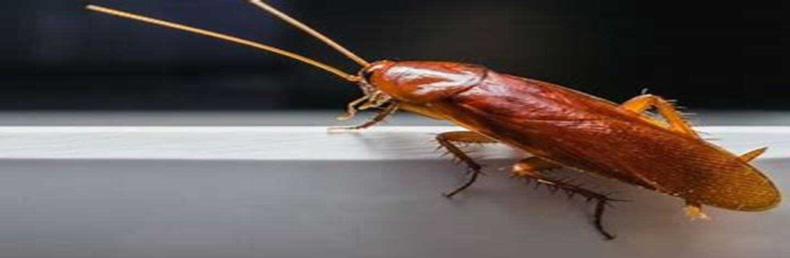 Morris Cockroach Control Canberra Cover Image