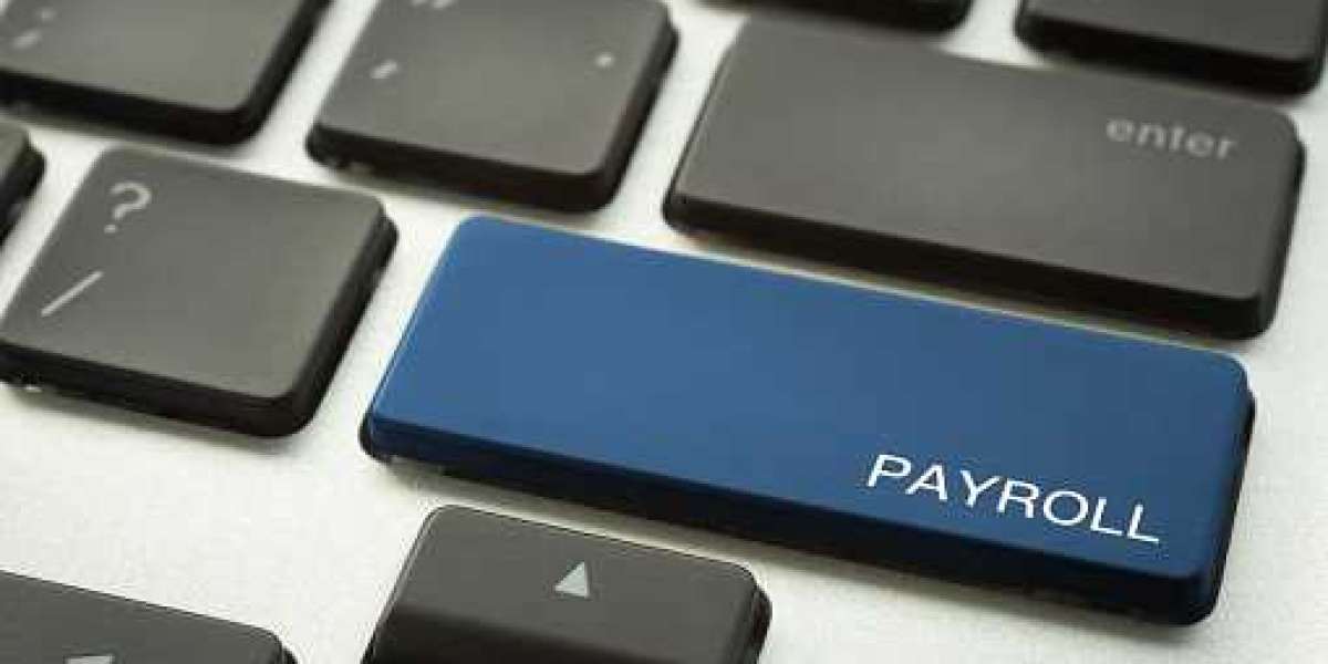 Payroll Software India