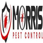 Morris Rodent Control Adelaide Profile Picture
