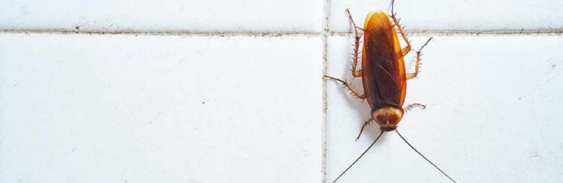 Morris Cockroach Control Perth Cover Image