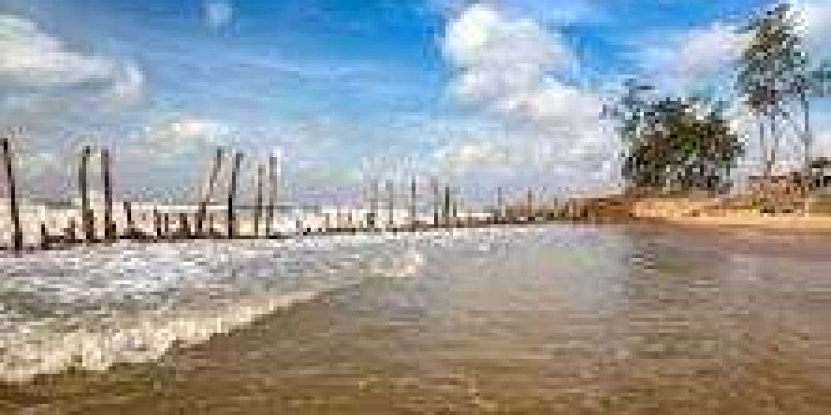 Tajpur Beach in West Bengal, place to Visit, How to Reach