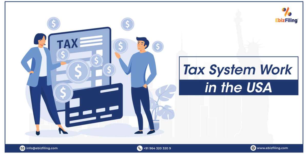 Tax System in the USA