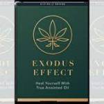 Exodus Effect Profile Picture