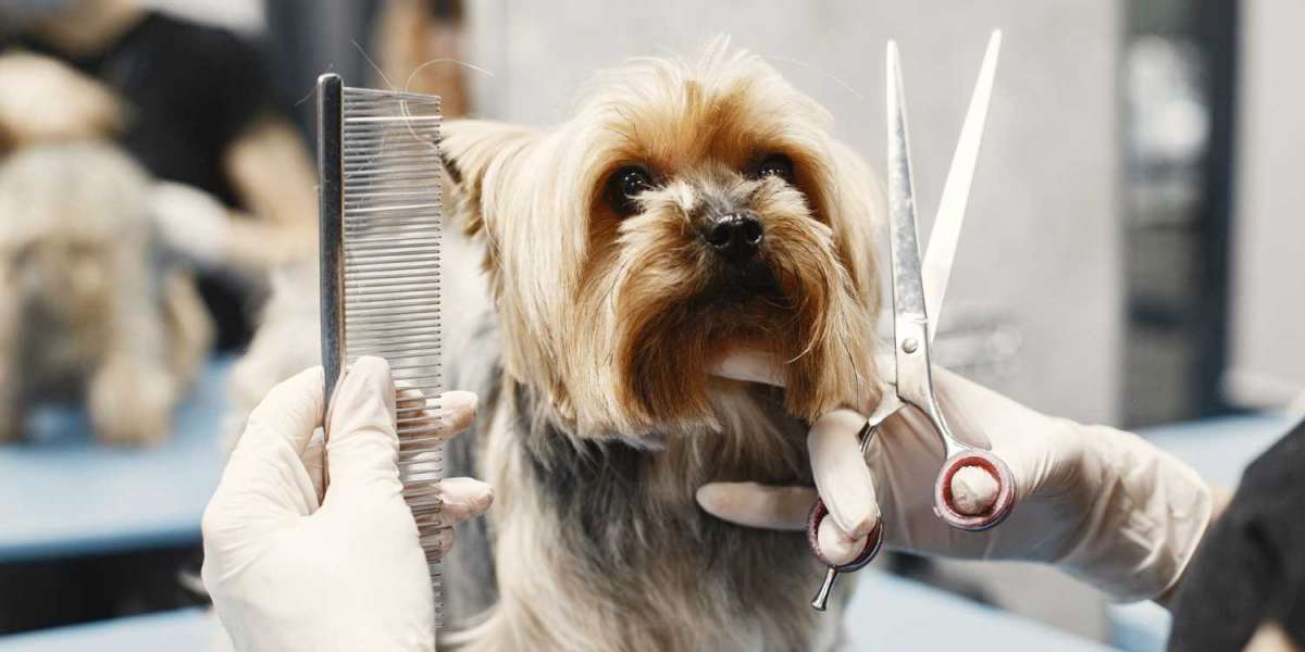 Exploring the Convenience of Mobile Dog Groomers in Las Vegas
