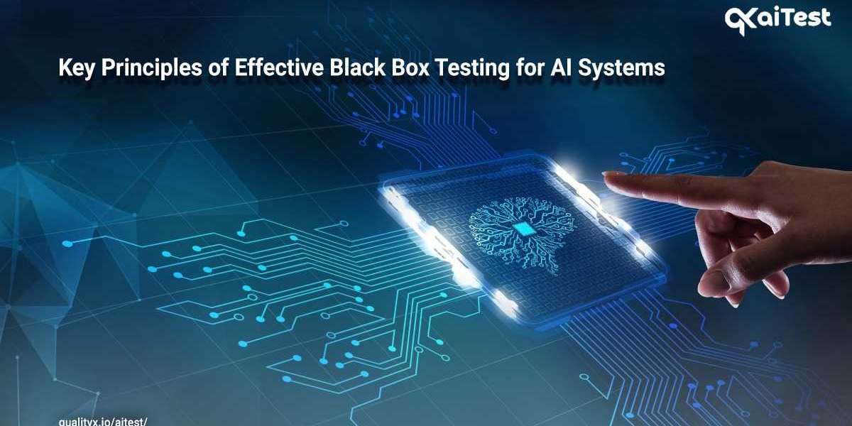 Key Principles of Effective Black Box Testing for AI Systems