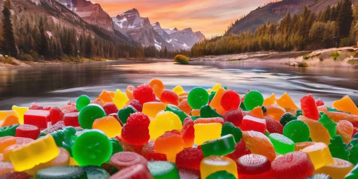 Penguin CBD Gummies Benefits: Full Guide And Best Products Official Website